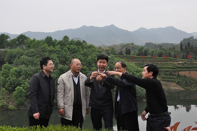 皇冠集团网站